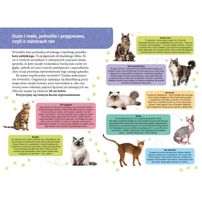 Ksi��ka edu. B5 Ma�a encyklopedia. Koty SKRZAT 077322