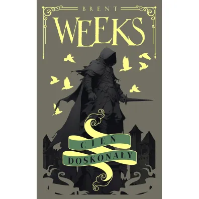 Cie� doskona�y. Anio� Nocy - Brent Weeks