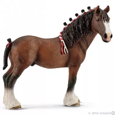 Wa�ach rasy Clydesdale