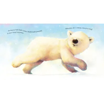Nied�wiadek polarny. Picturebook
