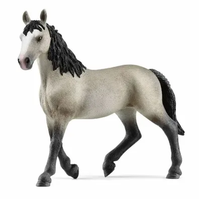 Klacz rasy cheval de selle francais