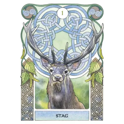 Celtic Astrology Oracle, karty do wrenia