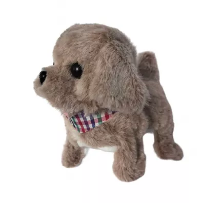 Tw�j pupilek piesek Askato