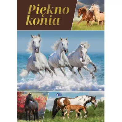 Pi�kno konia