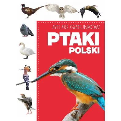 Atlas gatunk�w. Ptaki Polski - Anna Przyby�owicz, �ukasz Przyby�owicz