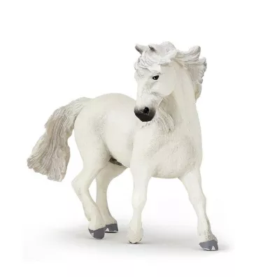 Ko� Camargue