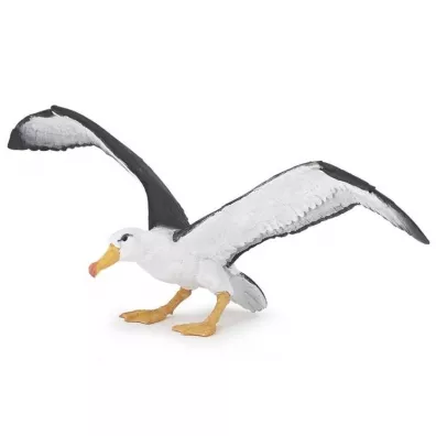 Albatros