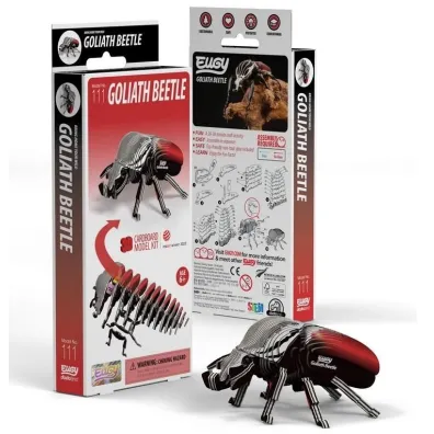 Chrz�szcz Goliat Eugy. Eko Uk�adanka 3D