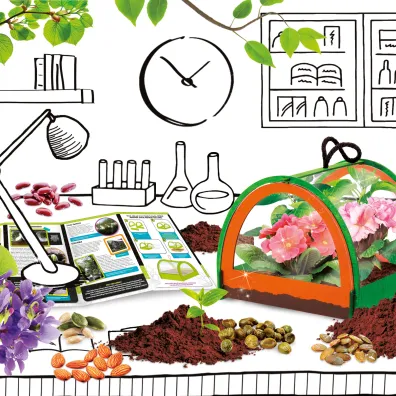 May Geniusz - Nauka o botanice Lisciani