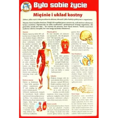 Puzzle By�o sobie �ycie Mi�nie i uk�ad kostny + DVD Hippocampus