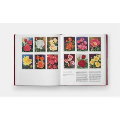 The Rose Book wer. angielska