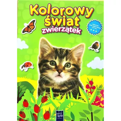 Kolorowy wiat zwierztek. Kotek