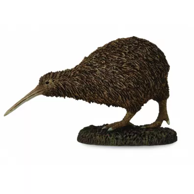 Kiwi