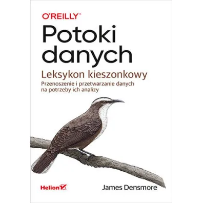 Potoki danych. Leksykon kieszonkowy. Przenoszenie i przetwarzanie danych na potrzeby ich analizy - James Densmore