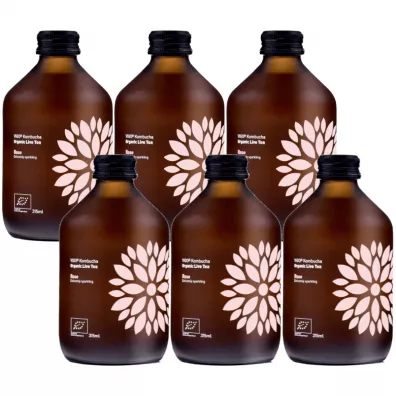 Vigo Yoko Kombucha rana bezglutenowa Zestaw 6 x 315 ml Bio