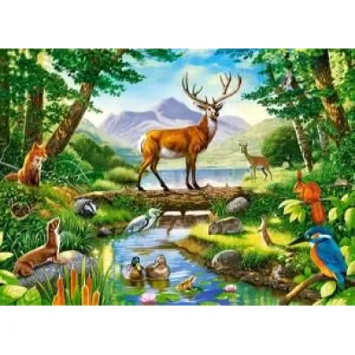 Puzzle 300 el. Le�na harmonia Castorland