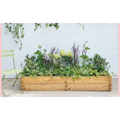The Instant Garden