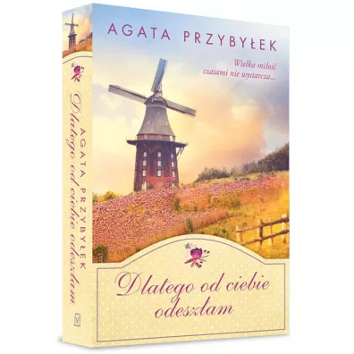Dlatego od ciebie odesz�am. B�d� przy mnie zawsze. Tom 3 - Agata Przyby�ek