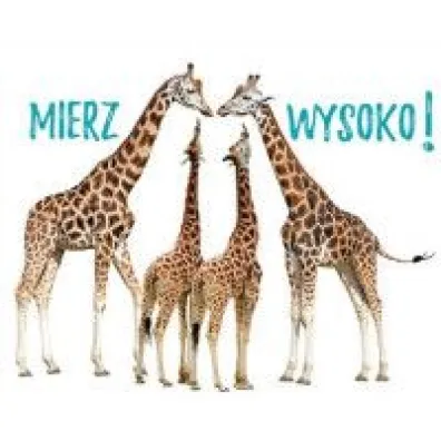 Mierz wysoko! Pere�ka 291