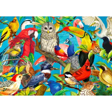 Puzzle 1000 el. Kolorowe ptaki Enjoy
