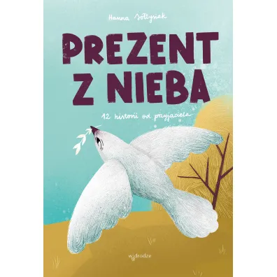 Prezent z nieba. 12 historii od przyjaciela - Hanna So�tysiak