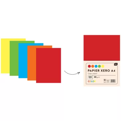 Interdruk Papier ksero A4 5 kolor�w
