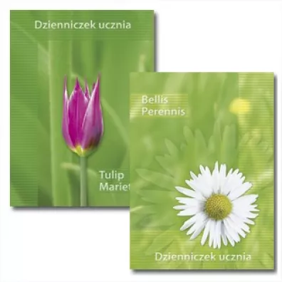 Nomico Dzienniczek ucznia