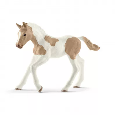 Ko� paint horse foal SLH13886