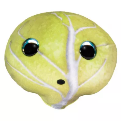 Lumo Stars Veggies and Berries Cabbage Teikku Tactic