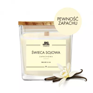 Big Nature wieca sojowa zapachowa Wanilia 205 g