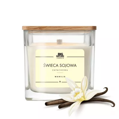 Big Nature wieca sojowa zapachowa Wanilia 205 g