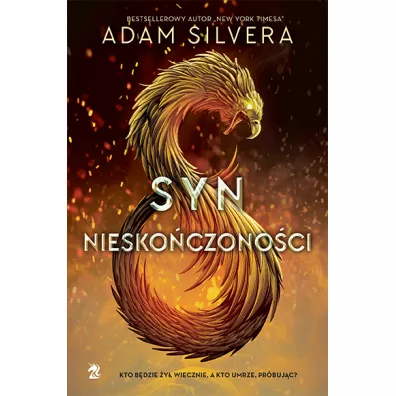 Syn niesko�czono�ci - Adam Silvera