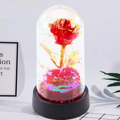 Wieczna R�a Kryszta�owa w Kopule z LED