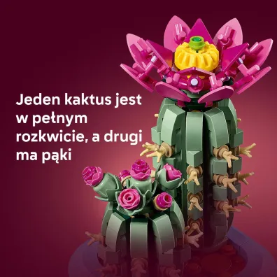 LEGO Botanicals Kwitn�cy kaktus 11509