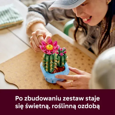LEGO Botanicals Kwitn�cy kaktus 11509