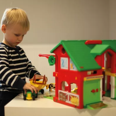 Play house. Farma Wader