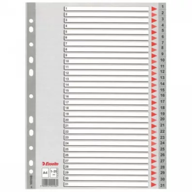 Przekadka A4 PP  1-31 numeryczna ESSELTE 100108