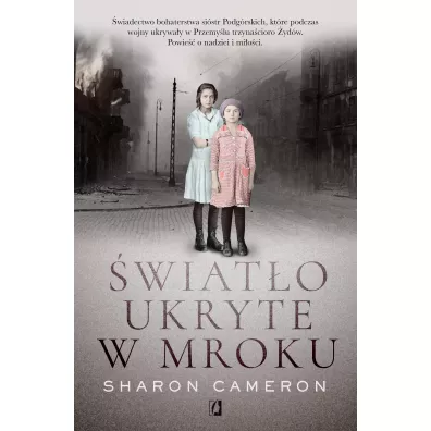 wiato ukryte w mroku - Sharon Cameron
