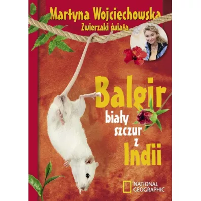 Balgir, bia�y szczur z Indii (OT) * * - Martyna Wojciechowska