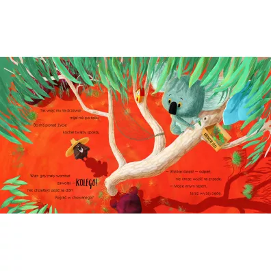Koala, Kt�ry Si� Trzyma�