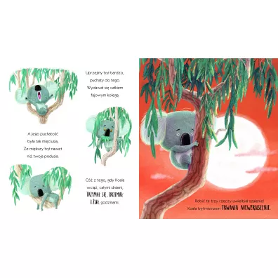 Koala, Kt�ry Si� Trzyma�