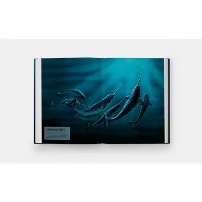 Mysteries of Marine Mammals. An Illustrated Guide to Whales, Dolphins, and Porpoises