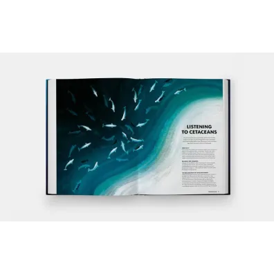 Mysteries of Marine Mammals. An Illustrated Guide to Whales, Dolphins, and Porpoises