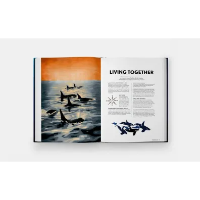 Mysteries of Marine Mammals. An Illustrated Guide to Whales, Dolphins, and Porpoises