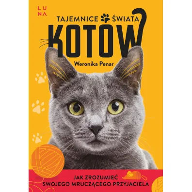 Tajemnice �wiata kot�w