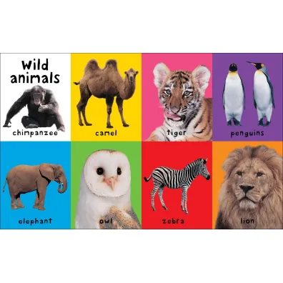 First 100 Animals