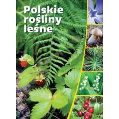 Polskie Ro�liny le�ne