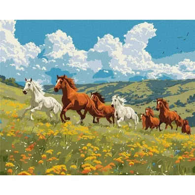 Ideyka Malowanie po numerach - Si�a i wdzi�k 40x50cm