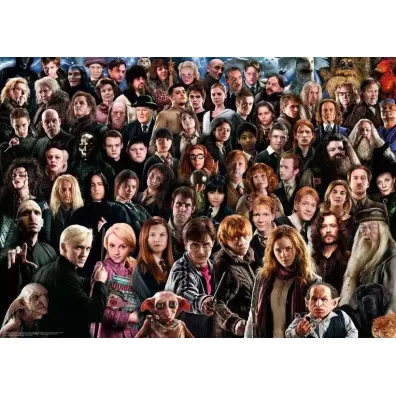 Puzzle 1000 el. Challenge. Harry Potter Ravensburger