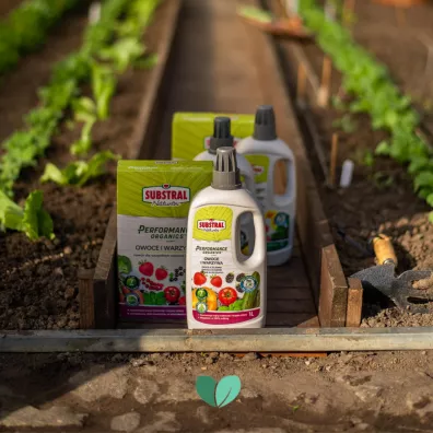 Substral Nawz w granulacie do owocw i warzyw 750 g